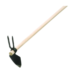 Zappino
